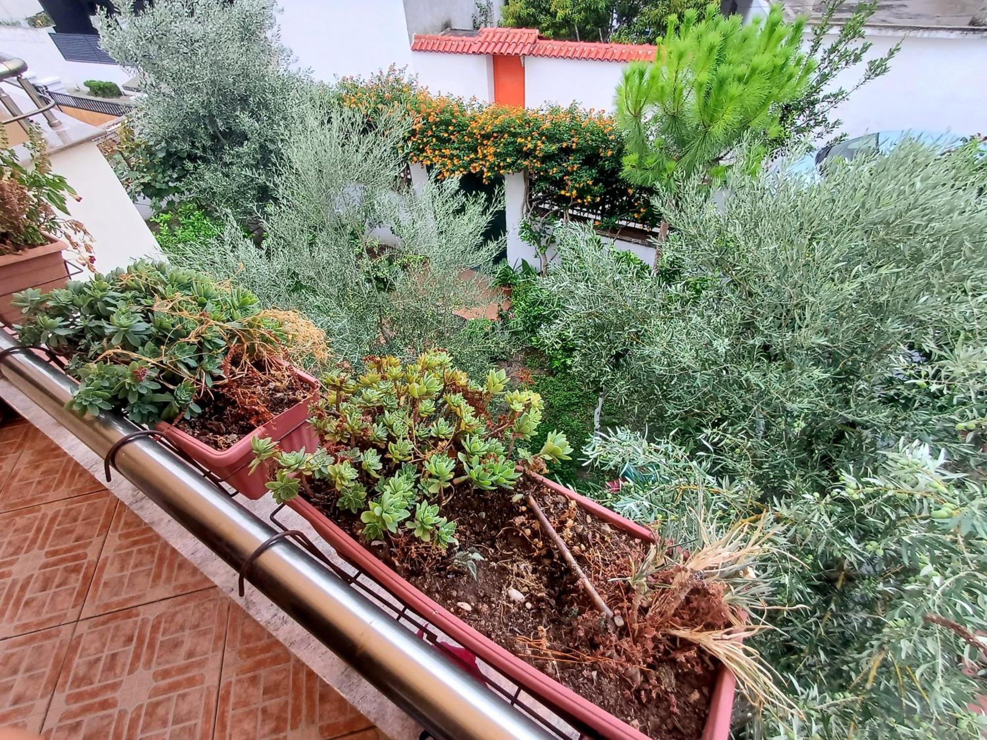 Guest Room Near Historical Center Vlore Luaran gambar